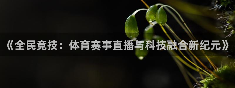 斗球直播app下载官网最新版：《全民竞技：体育赛事直播与科技融合新纪元》