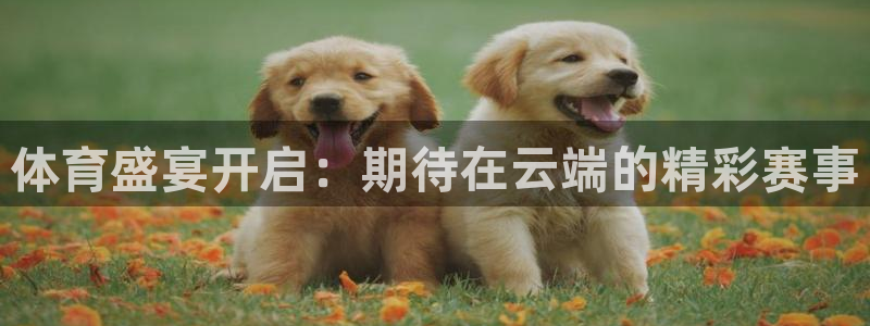 斗球直播旧版下载安装：体育盛宴开启：期待在云端的精彩赛事