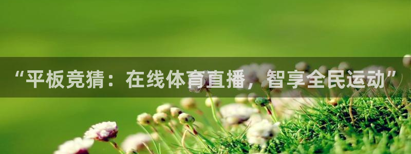 斗球免费观看：“平板竞猜：在线体育直播，智享全民运动”