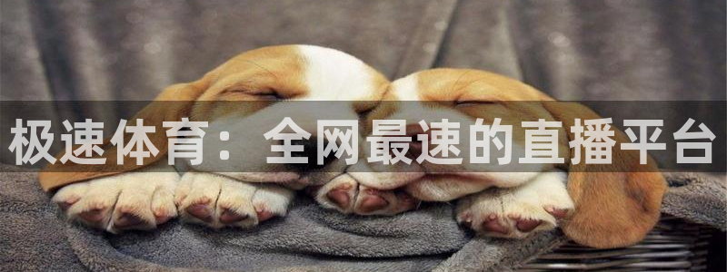 斗球体育直播免费观看：极速体育：全网最速的直播平台