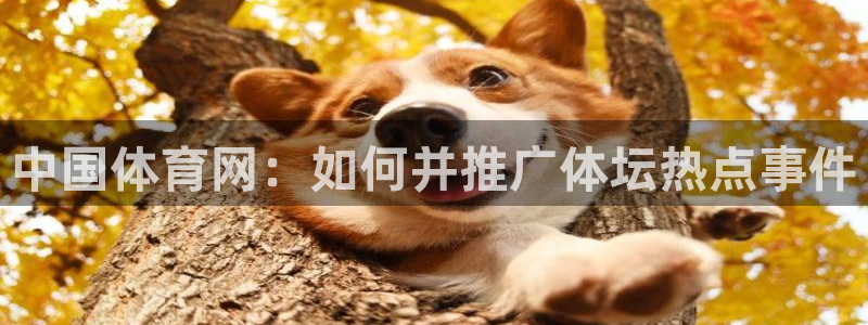 斗球体育nba直播：中国体育网：如何并推广体坛热点事件
