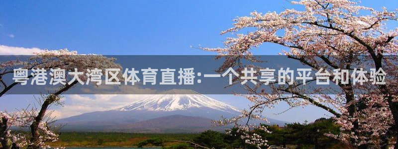 斗球体育官网