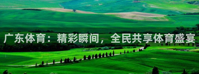 斗球直播app苹果下载：广东体育：精彩瞬间，全民共享体育盛宴
