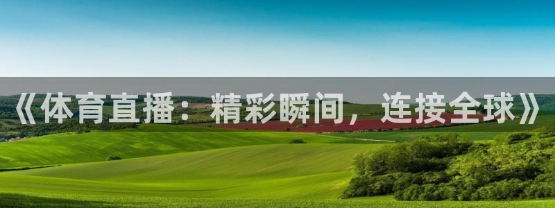 斗球体育直播在线观看nba：《体育直播：精彩瞬间，连接全球》